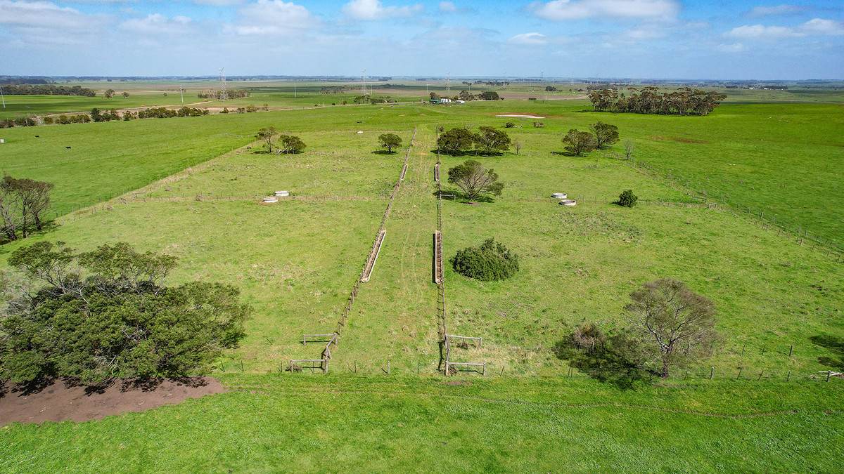 'Moloneys' 1210 Woolsthorpe-Heywood Road, Hawkesdale For Sale by Farmbuy.com - image 19
