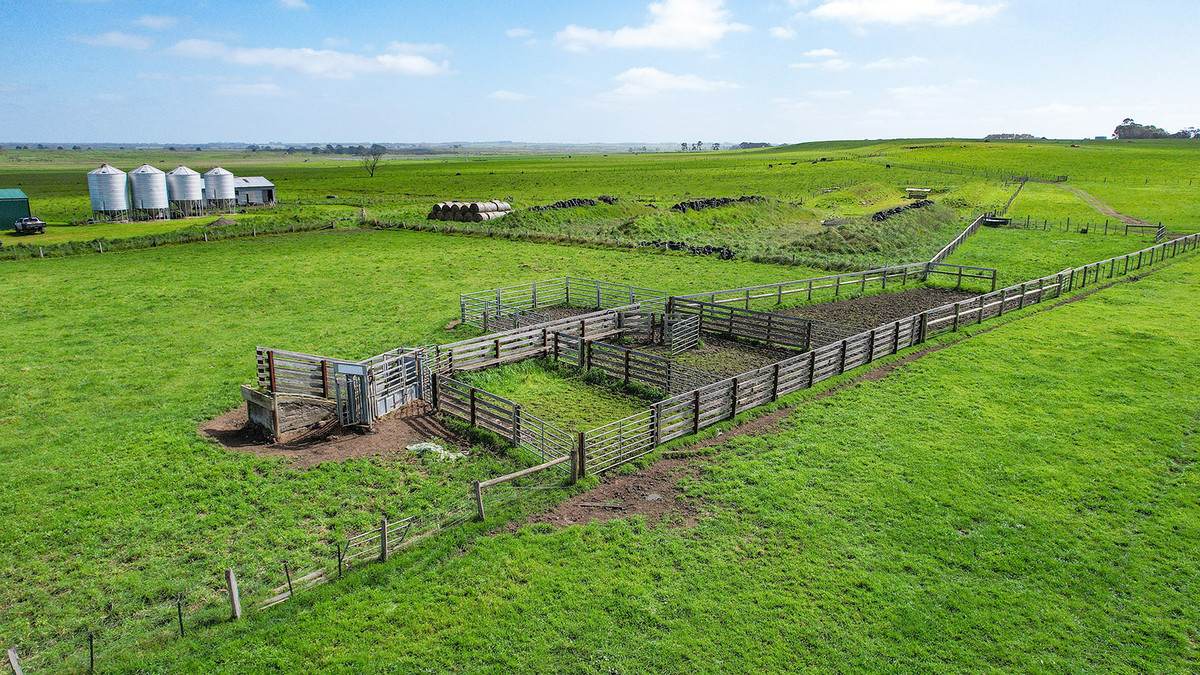 'Moloneys' 1210 Woolsthorpe-Heywood Road, Hawkesdale For Sale by Farmbuy.com - image 17