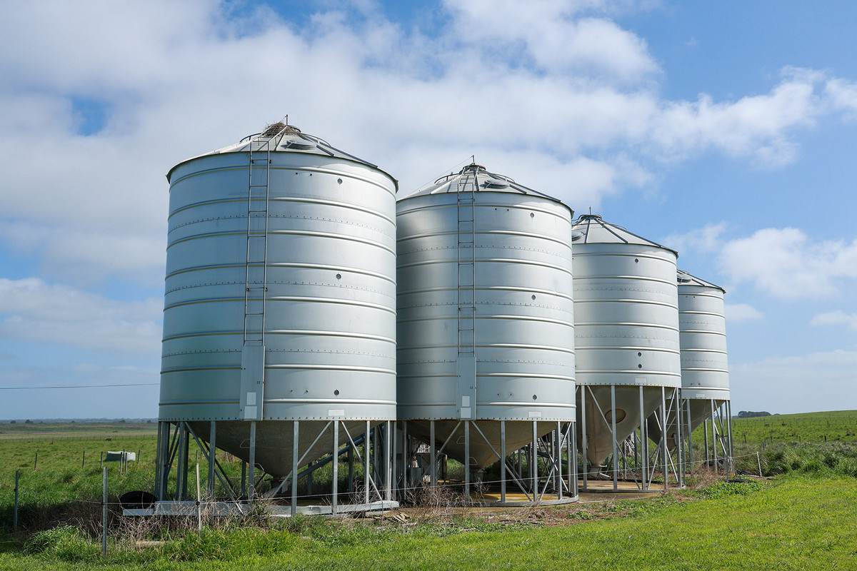 'Moloneys' 1210 Woolsthorpe-Heywood Road, Hawkesdale For Sale by Farmbuy.com - image 5