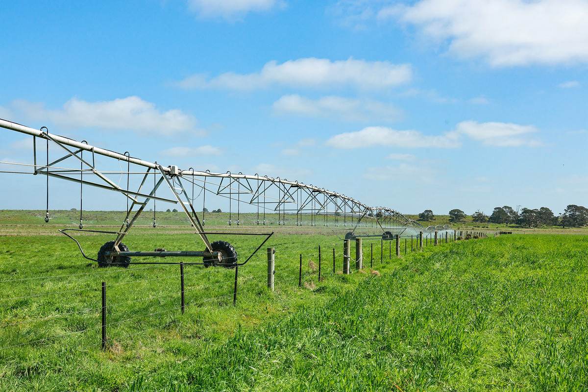 'Moloneys' 1210 Woolsthorpe-Heywood Road, Hawkesdale For Sale by Farmbuy.com - image 10