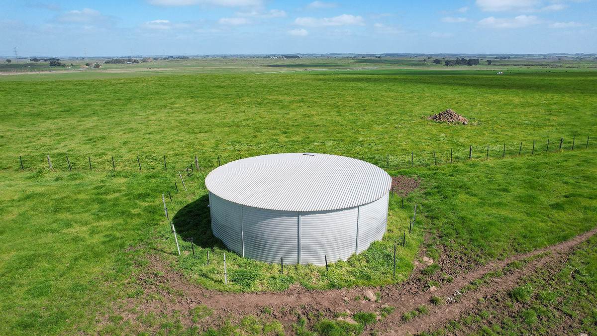 'Moloneys' 1210 Woolsthorpe-Heywood Road, Hawkesdale For Sale by Farmbuy.com - image 16