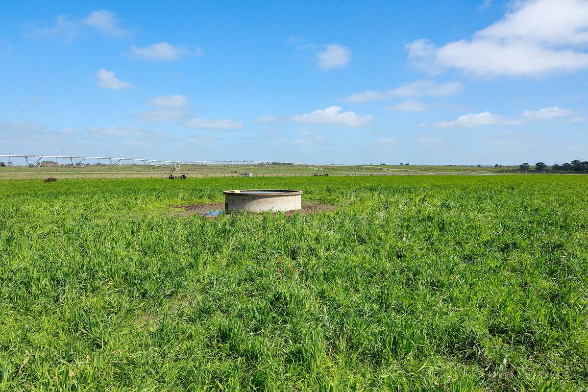 'Moloneys' 1210 Woolsthorpe-Heywood Road, Hawkesdale For Sale by Farmbuy.com - image 14