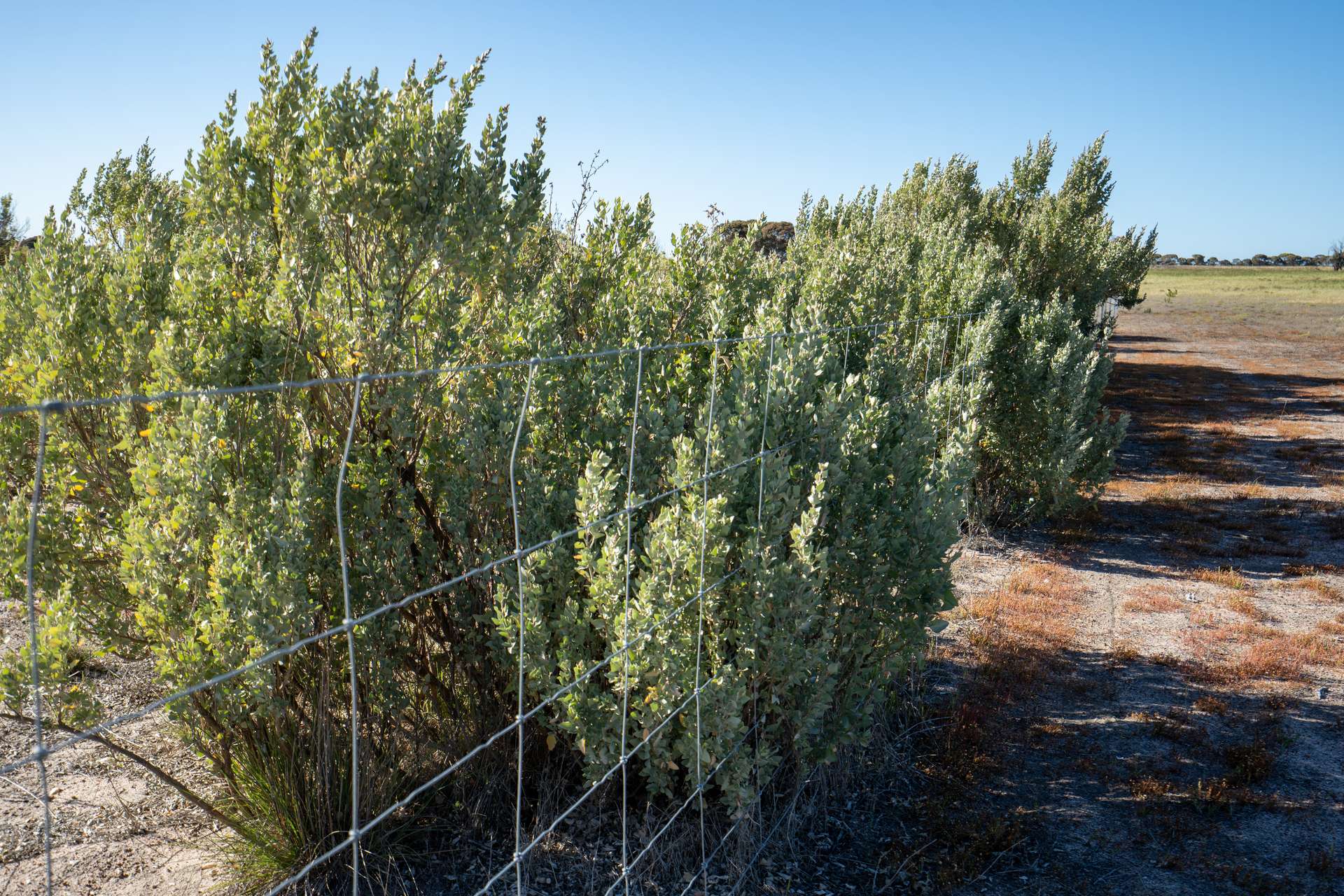 5566 Tieline Road, Gnowangerup For Sale by Farmbuy.com - image 35