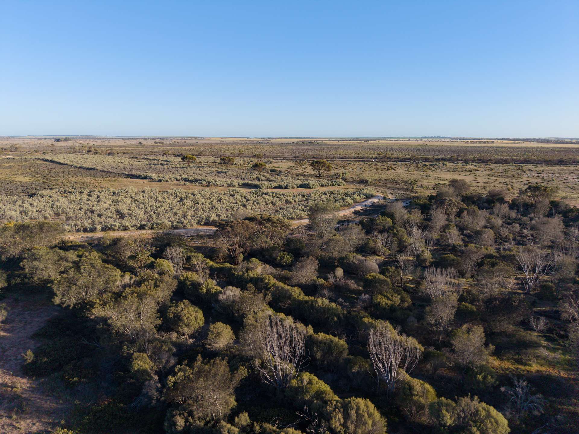 5566 Tieline Road, Gnowangerup For Sale by Farmbuy.com - image 33