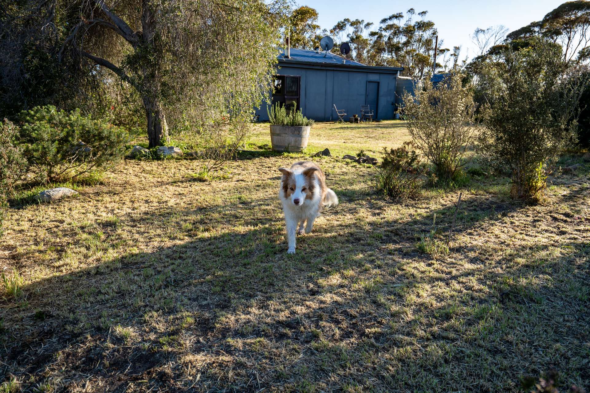 5566 Tieline Road, Gnowangerup For Sale by Farmbuy.com - image 27