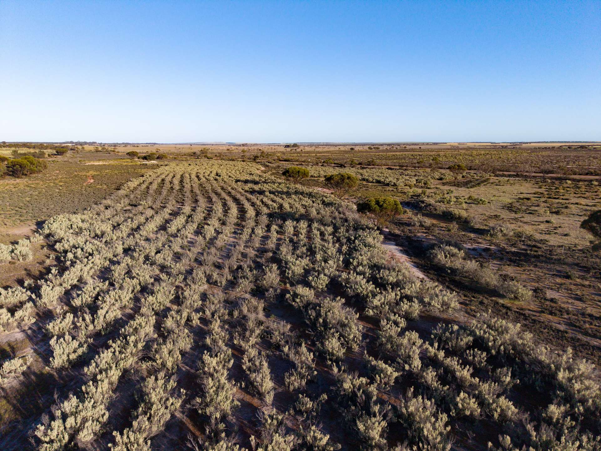 5566 Tieline Road, Gnowangerup For Sale by Farmbuy.com - image 34