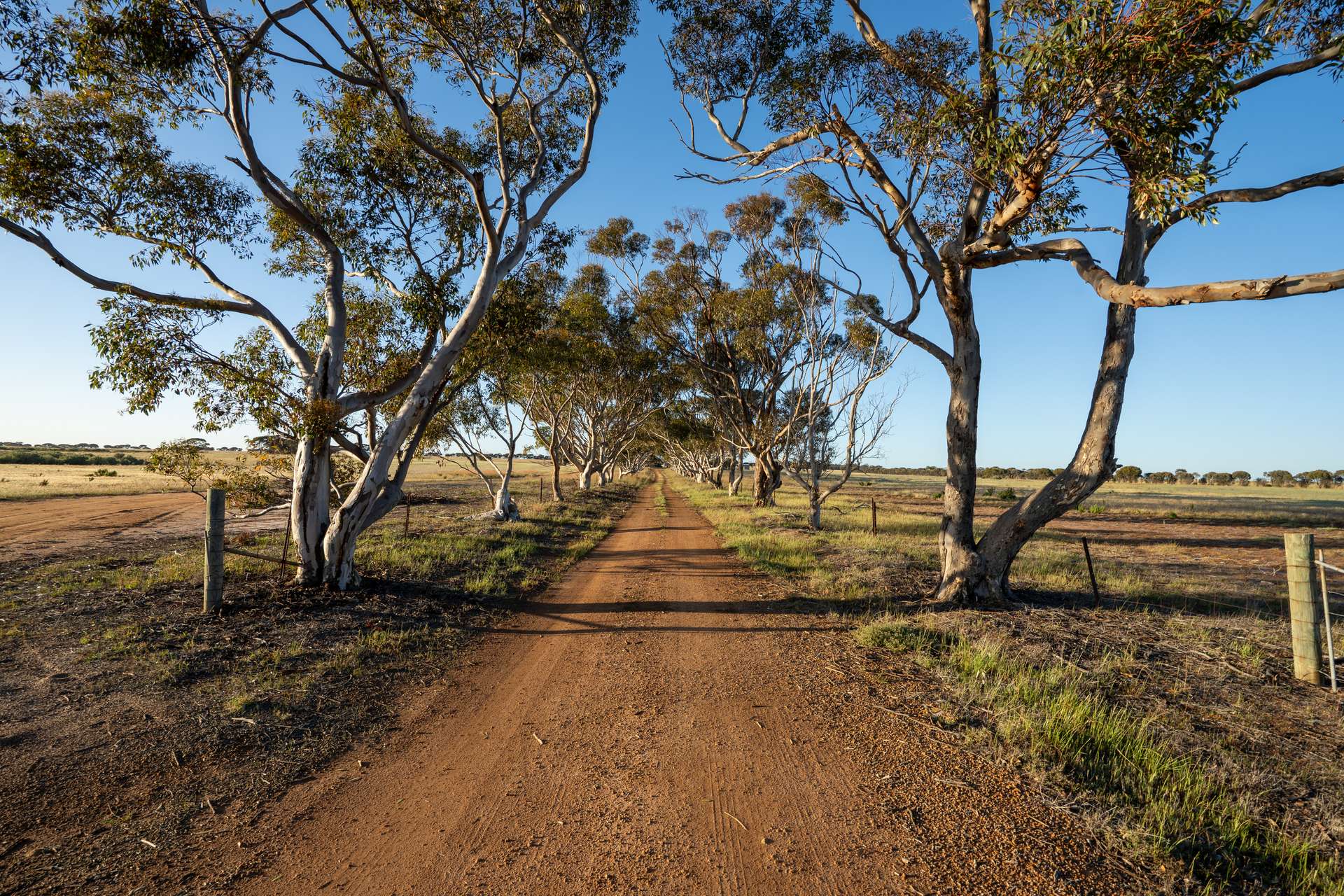 5566 Tieline Road, Gnowangerup For Sale by Farmbuy.com - image 1