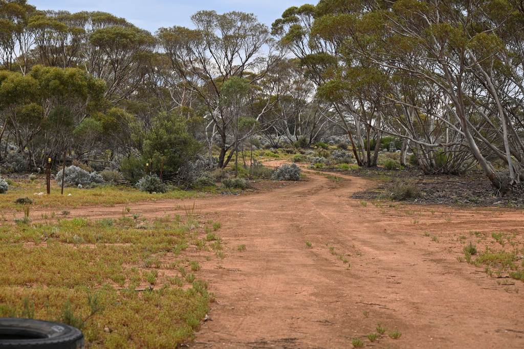 Lot 291 Pat Hydes Road, Morgan SA 5320
