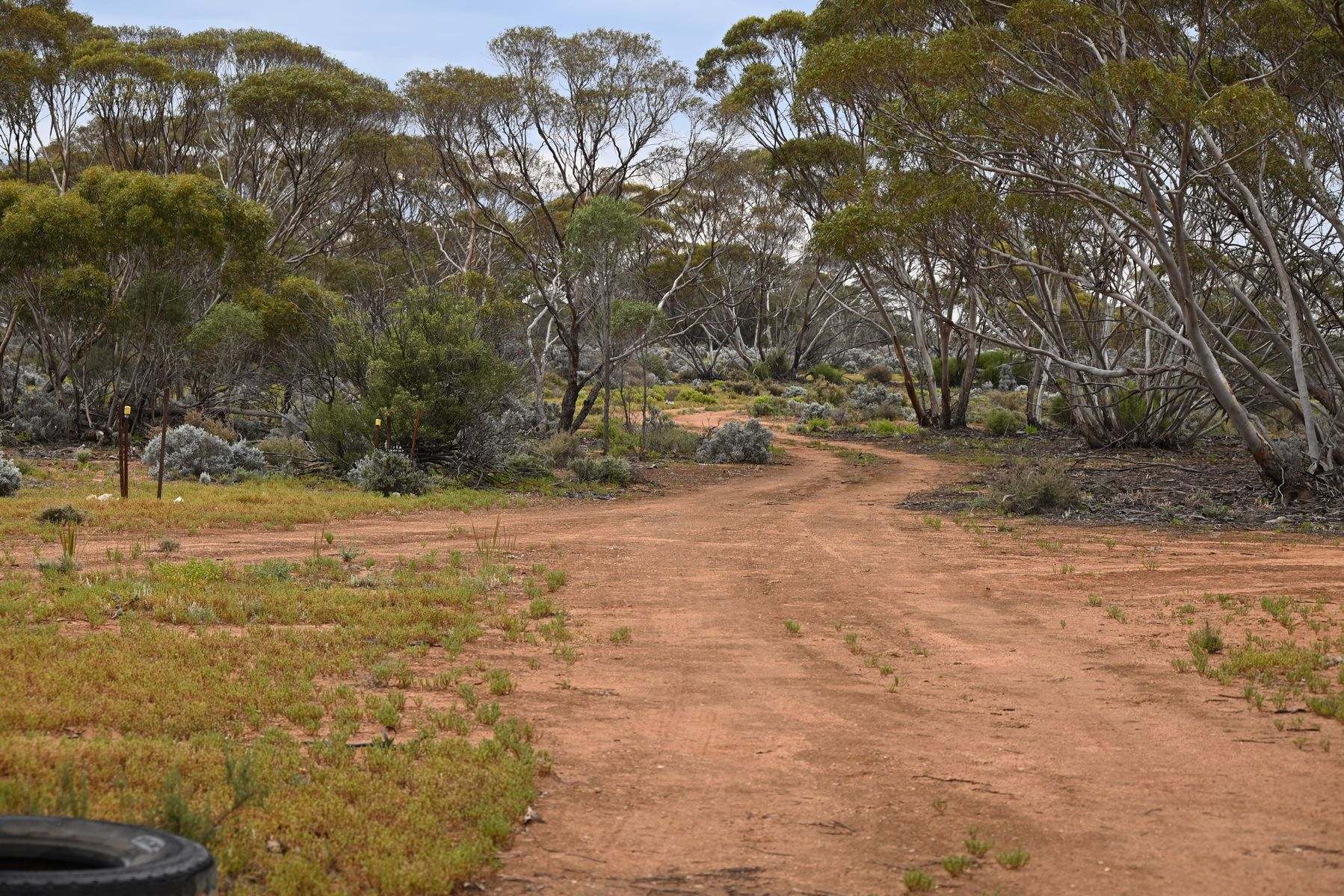 Lot 291 Pat Hydes Road, Morgan For Sale by Farmbuy.com - image 1