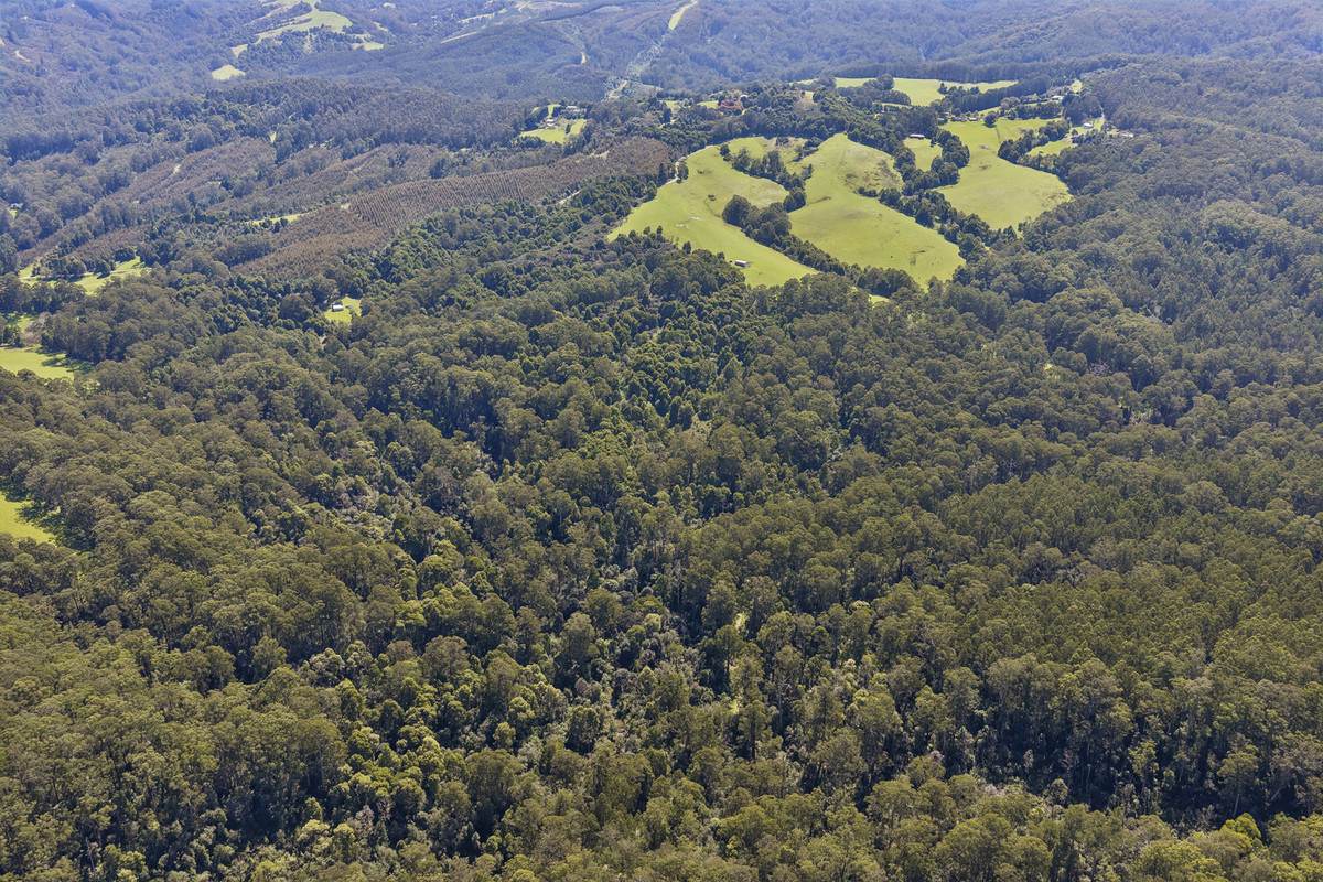 220 Aire Settlement Road, Johanna For Sale by Farmbuy.com - image 12