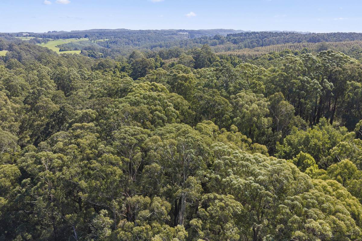 220 Aire Settlement Road, Johanna For Sale by Farmbuy.com - image 10