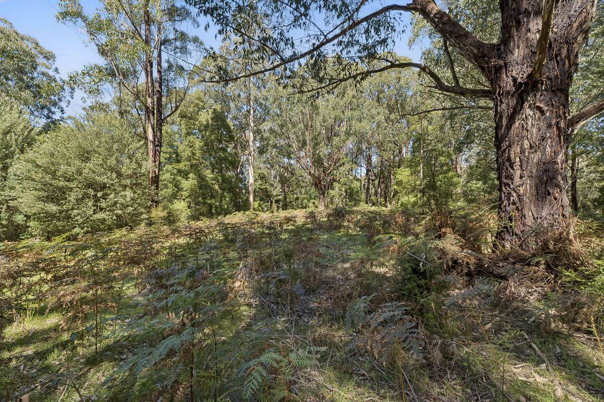 220 Aire Settlement Road, Johanna For Sale by Farmbuy.com - image 16