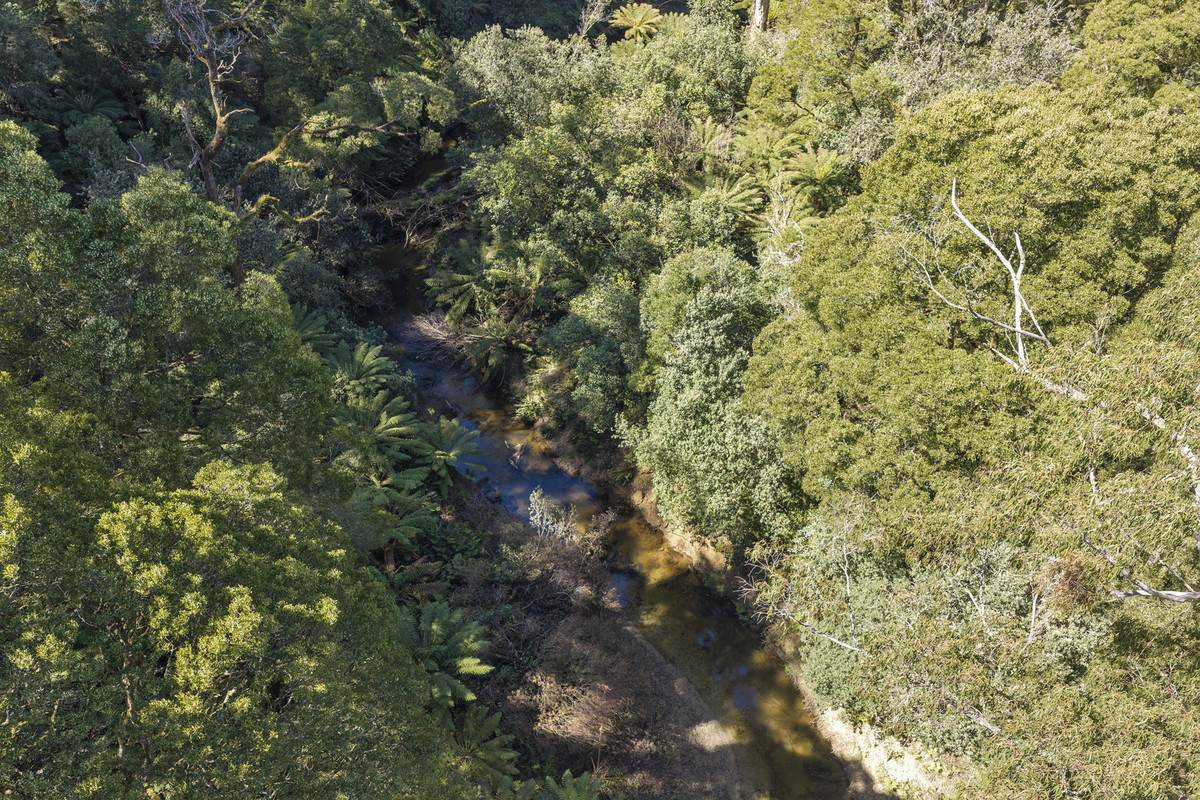 220 Aire Settlement Road, Johanna For Sale by Farmbuy.com - image 9