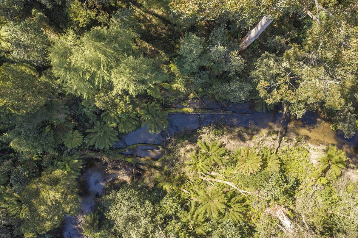 220 Aire Settlement Road, Johanna For Sale by Farmbuy.com - image 11