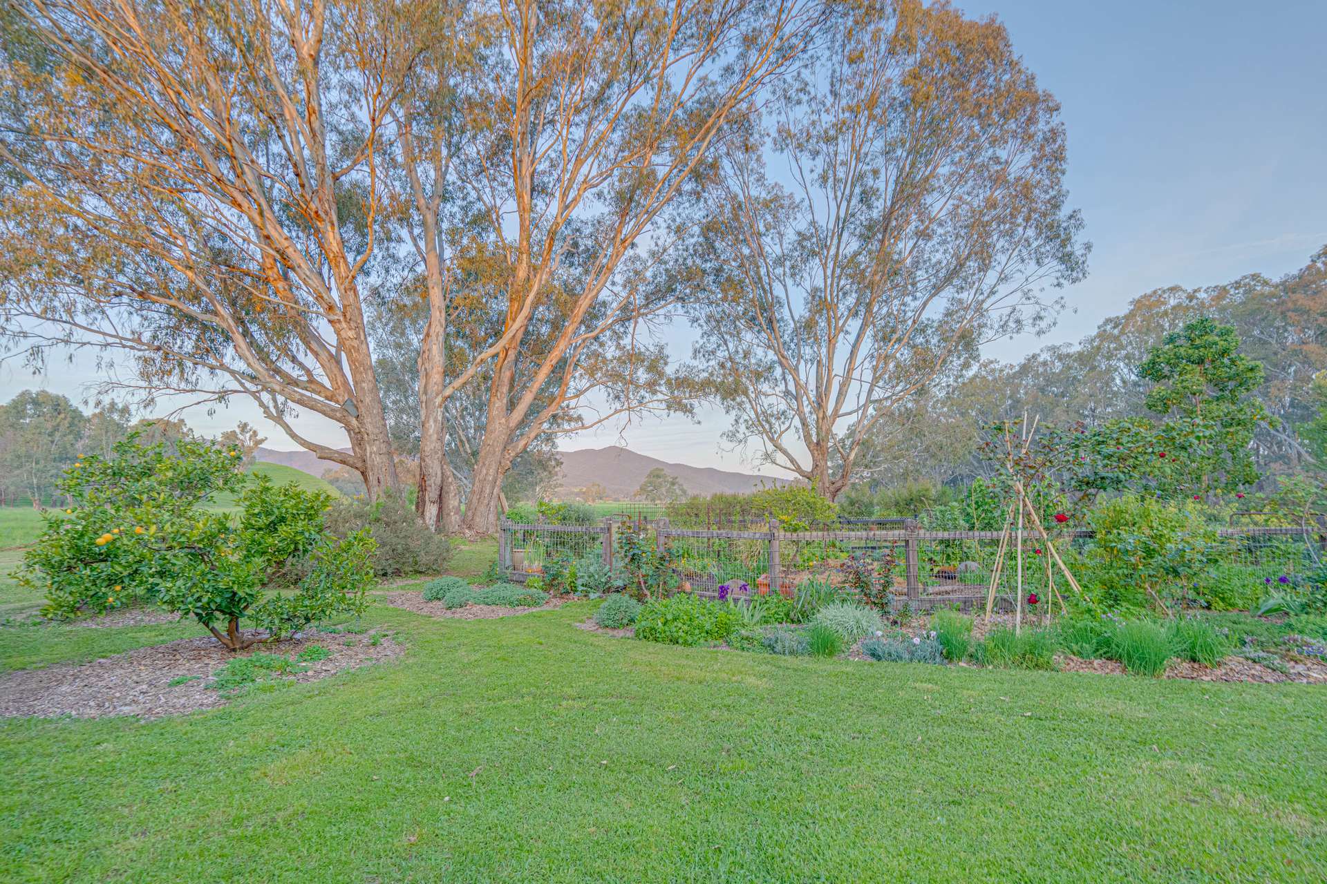 217 Schlapps Road, Gapsted For Sale by Farmbuy.com - image 31