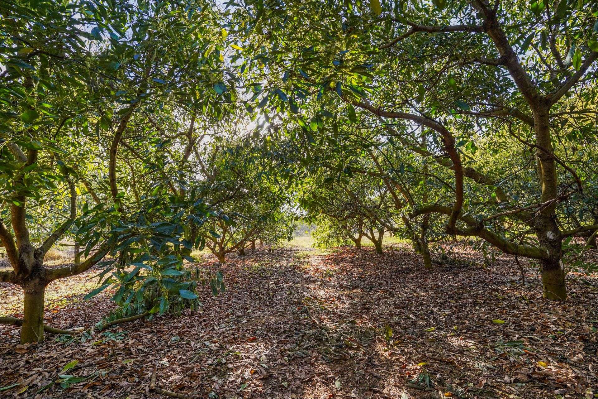 840 Esk Hampton Road, Redbank Creek For Sale by Farmbuy.com - image 21