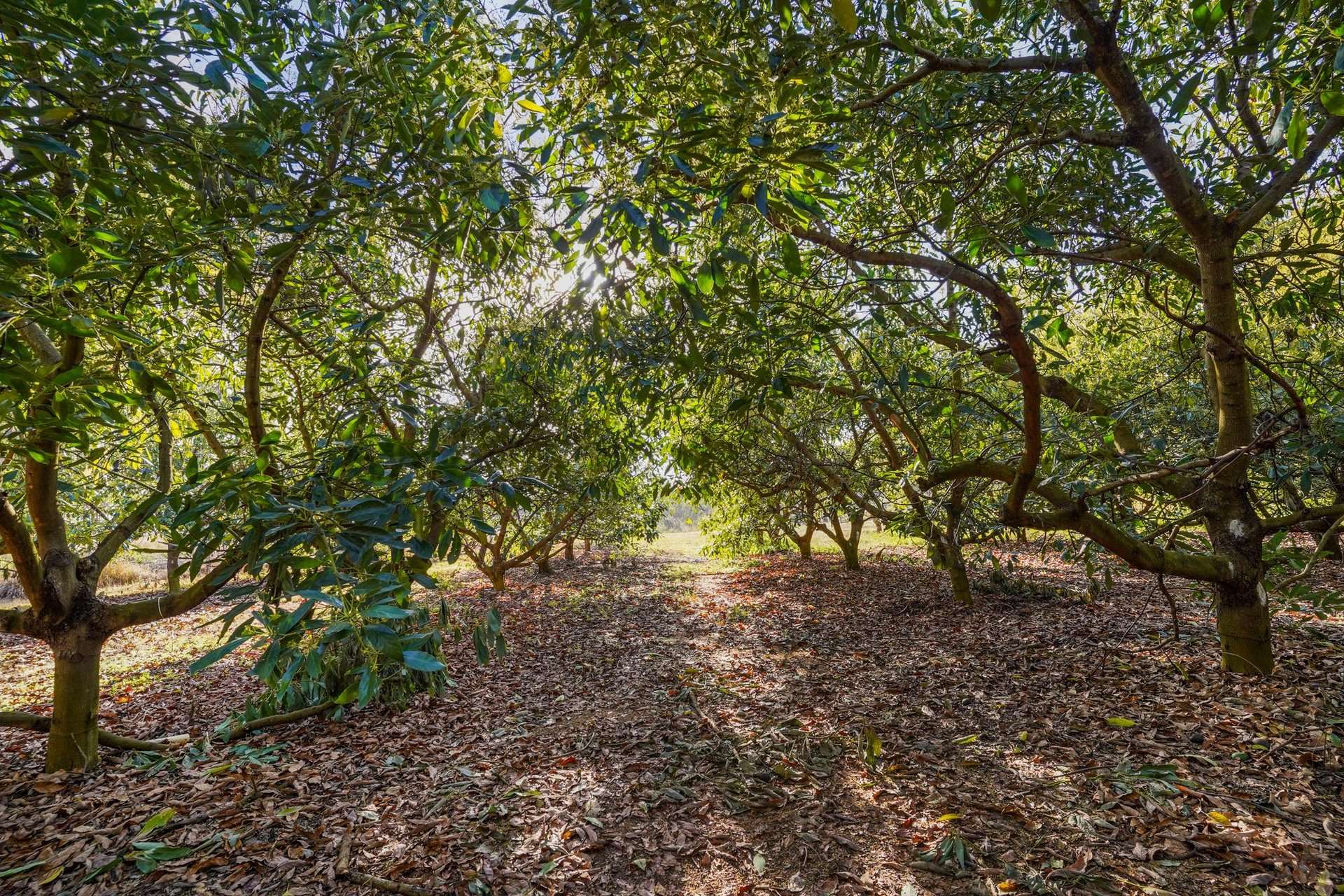 840 Esk Hampton Road, Redbank Creek For Sale by Farmbuy.com - image 21