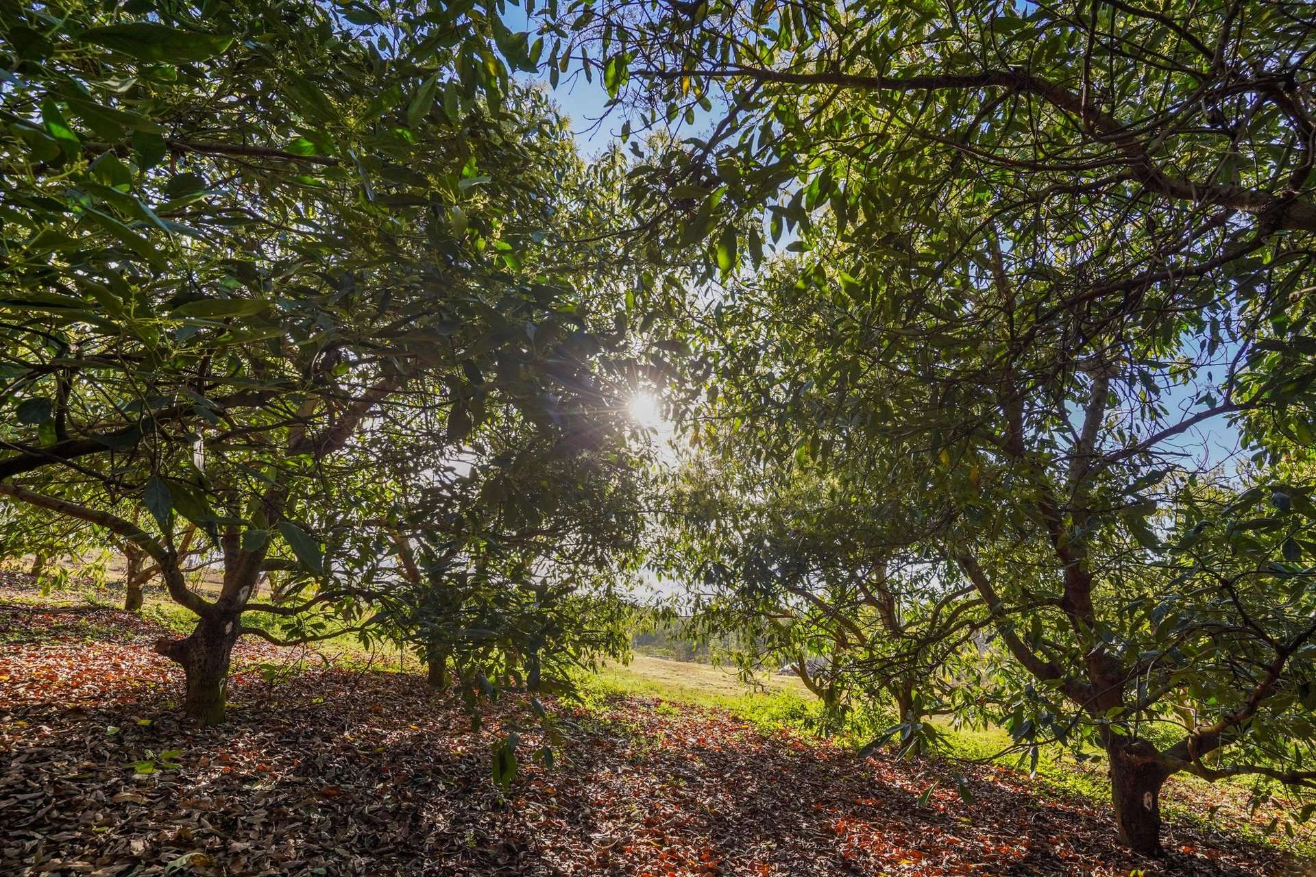 840 Esk Hampton Road, Redbank Creek For Sale by Farmbuy.com - image 20