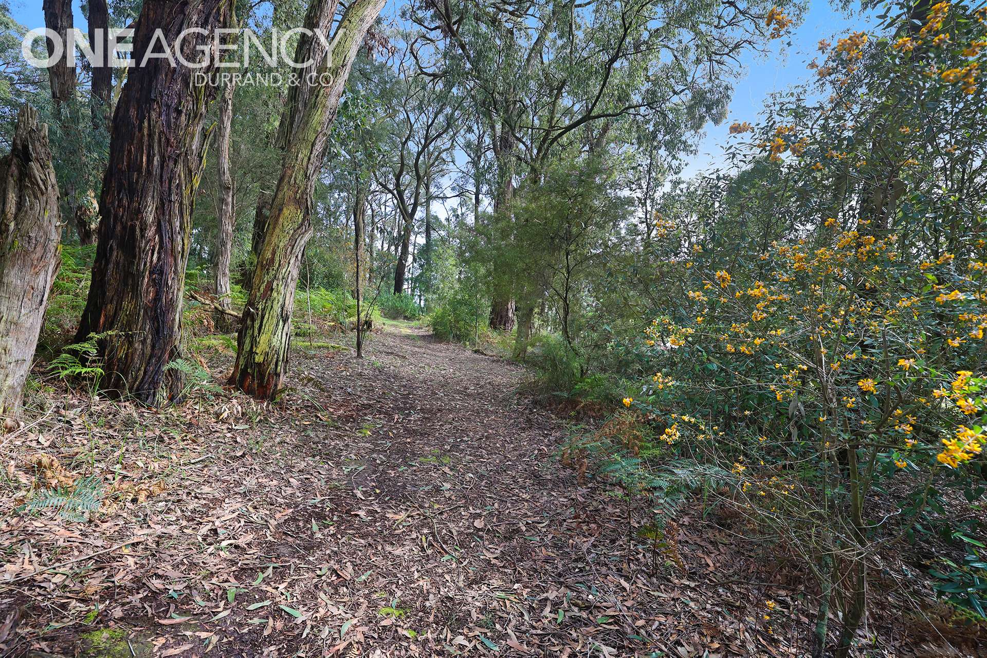 60 Treadwells Road, Poowong North For Sale by Farmbuy.com - image 29