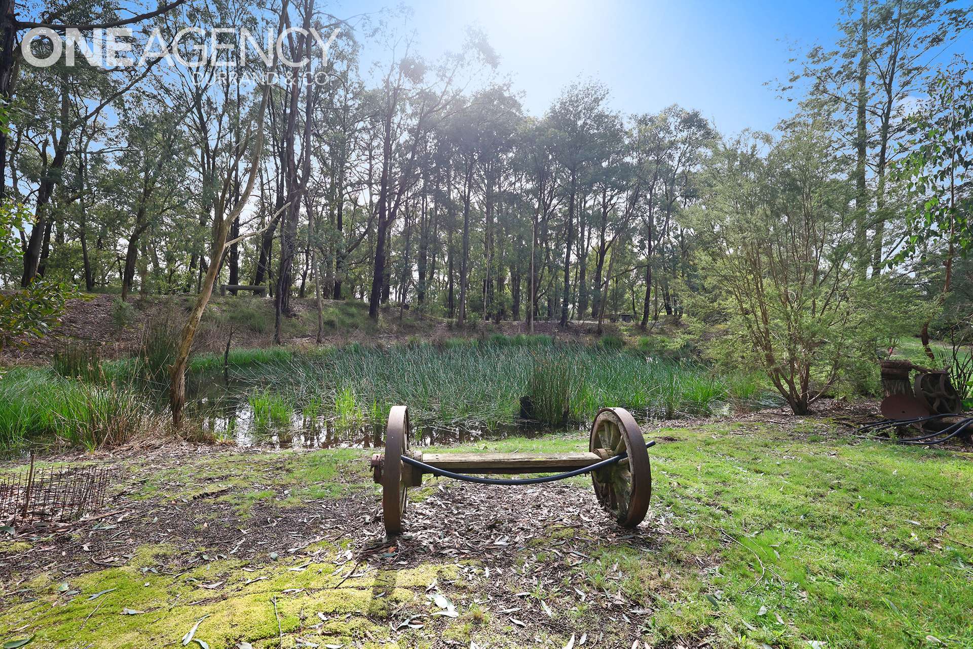 60 Treadwells Road, Poowong North For Sale by Farmbuy.com - image 33