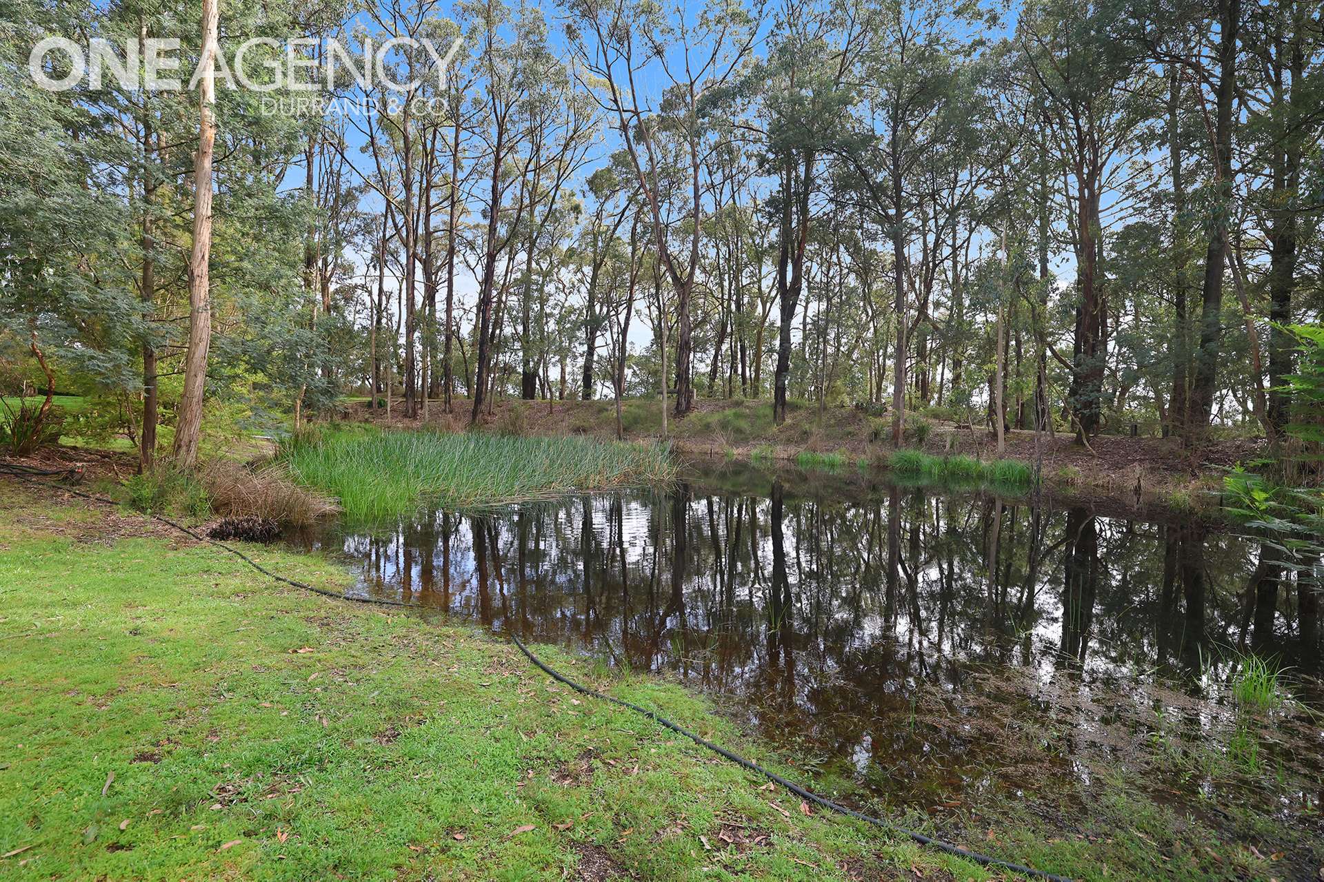 60 Treadwells Road, Poowong North For Sale by Farmbuy.com - image 32