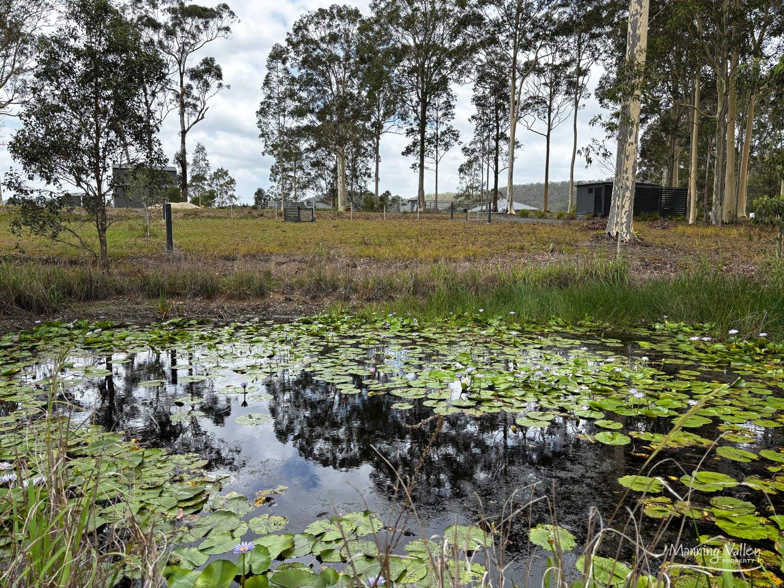 Lot 36 DP285626 Acacia Drive, Coolongolook For Sale by Farmbuy.com - image 9