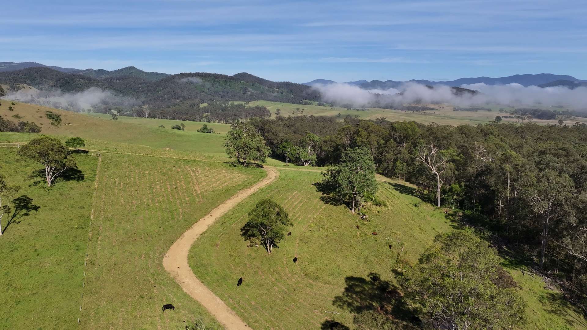5887 Oxley Highway, Ellenborough For Sale by Farmbuy.com - image 20