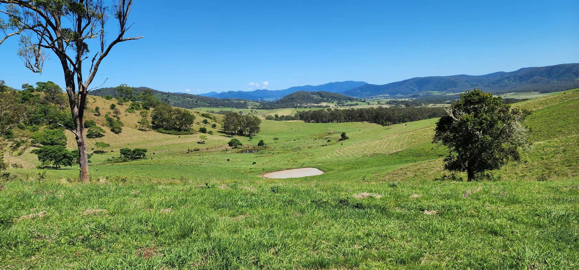 5887 Oxley Highway, Ellenborough For Sale by Farmbuy.com - image 18
