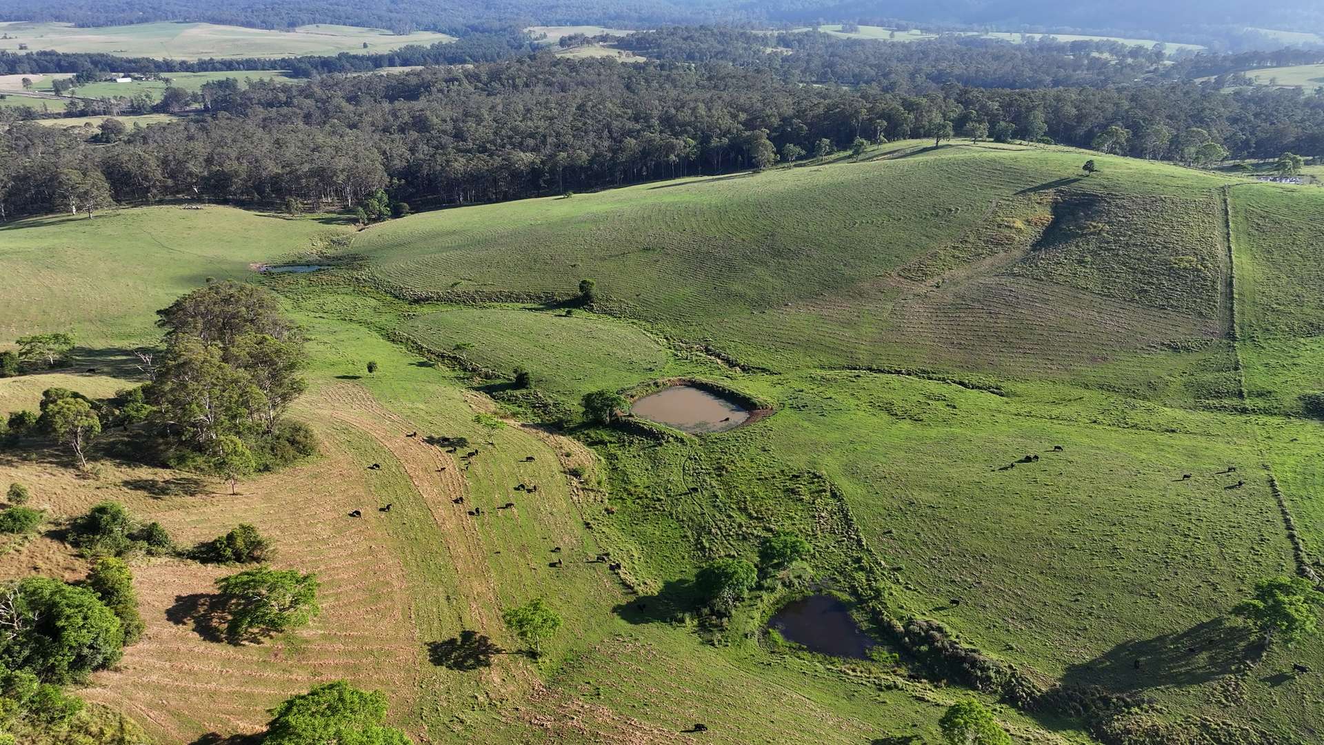 5887 Oxley Highway, Ellenborough For Sale by Farmbuy.com - image 5