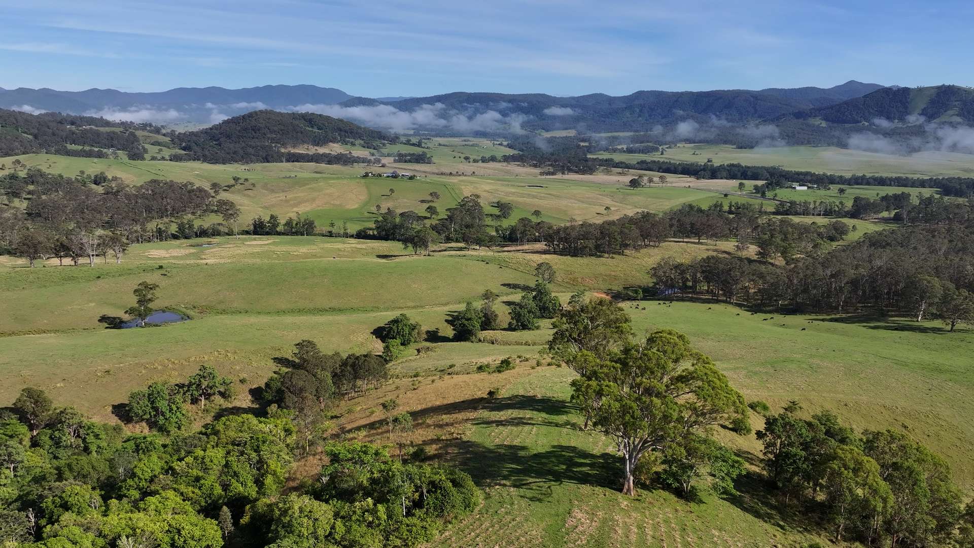 5887 Oxley Highway, Ellenborough For Sale by Farmbuy.com - image 2
