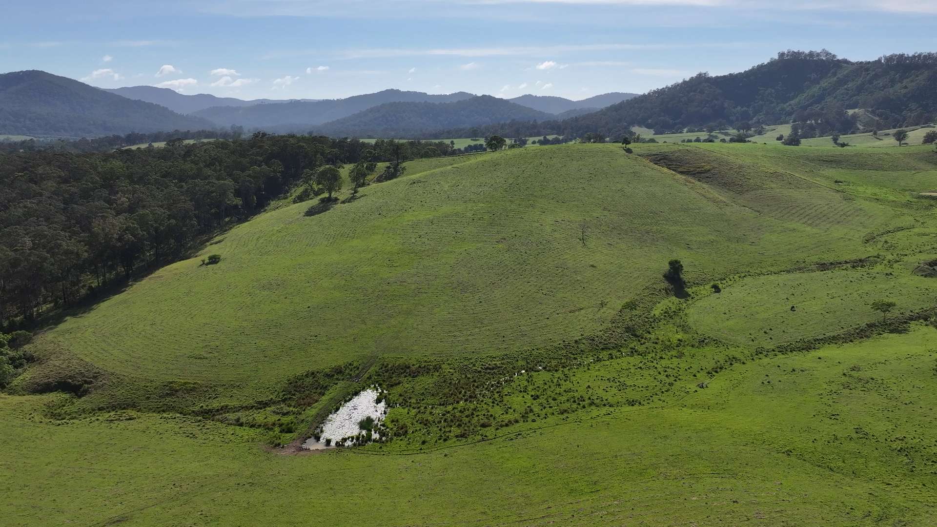 5887 Oxley Highway, Ellenborough For Sale by Farmbuy.com - image 6