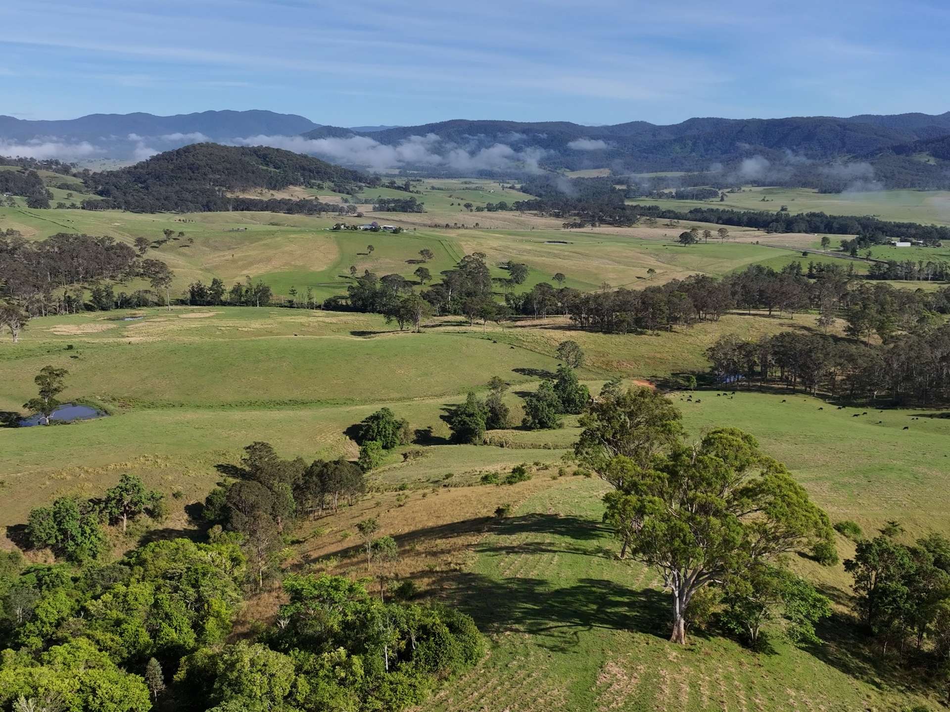 5887 Oxley Highway, Ellenborough For Sale by Farmbuy.com - image 19