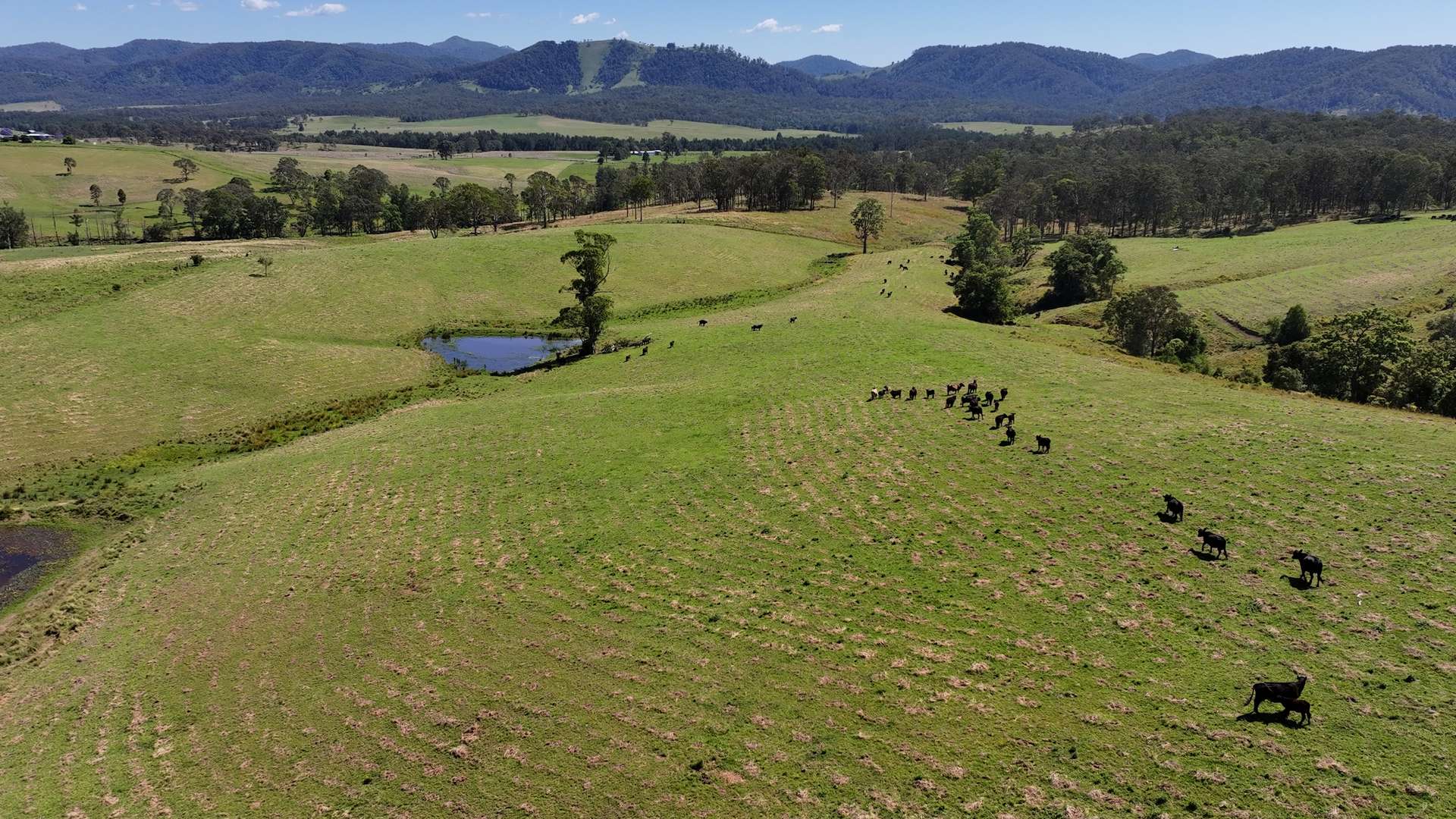 5887 Oxley Highway, Ellenborough For Sale by Farmbuy.com - image 3
