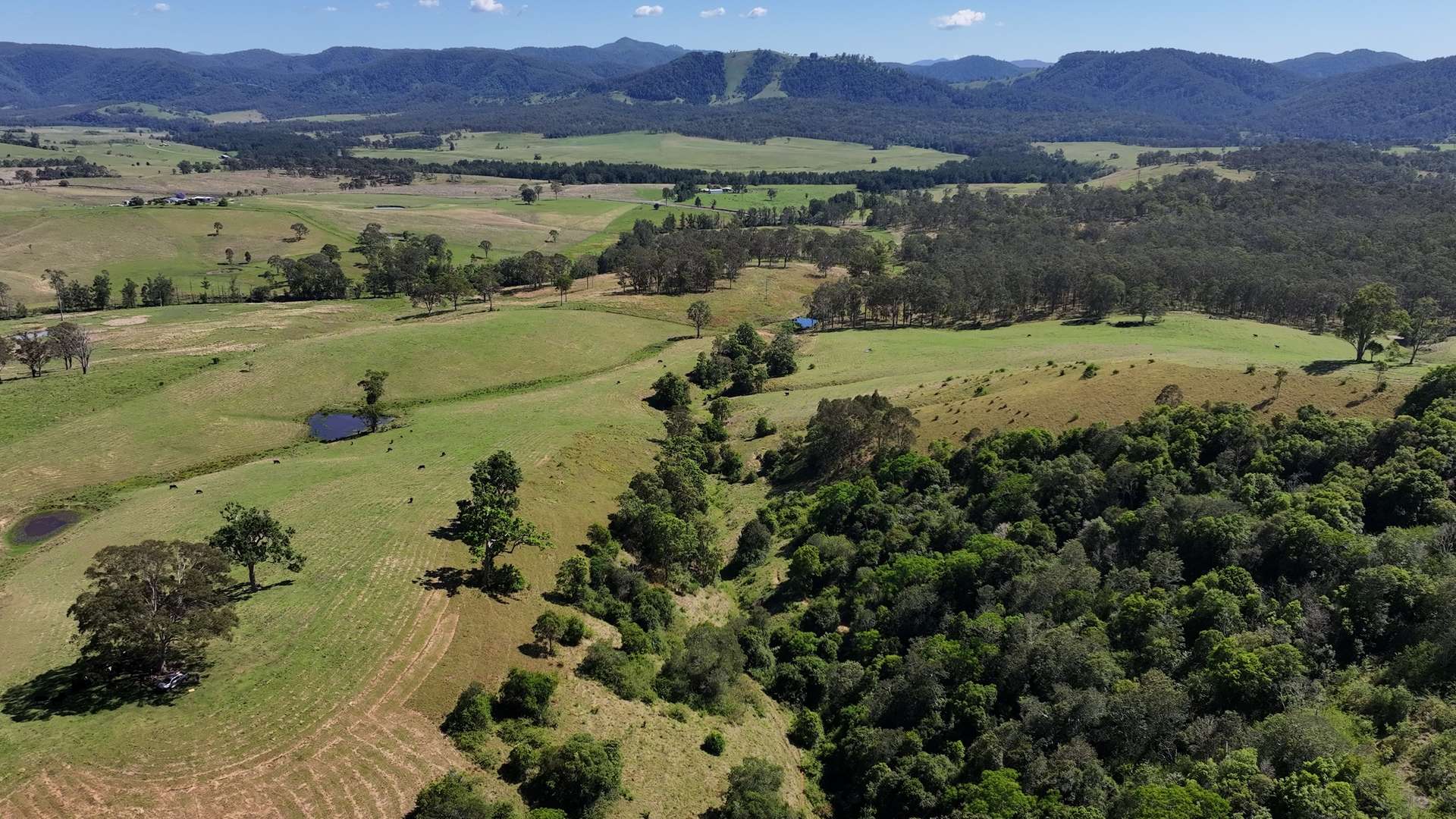 5887 Oxley Highway, Ellenborough For Sale by Farmbuy.com - image 21