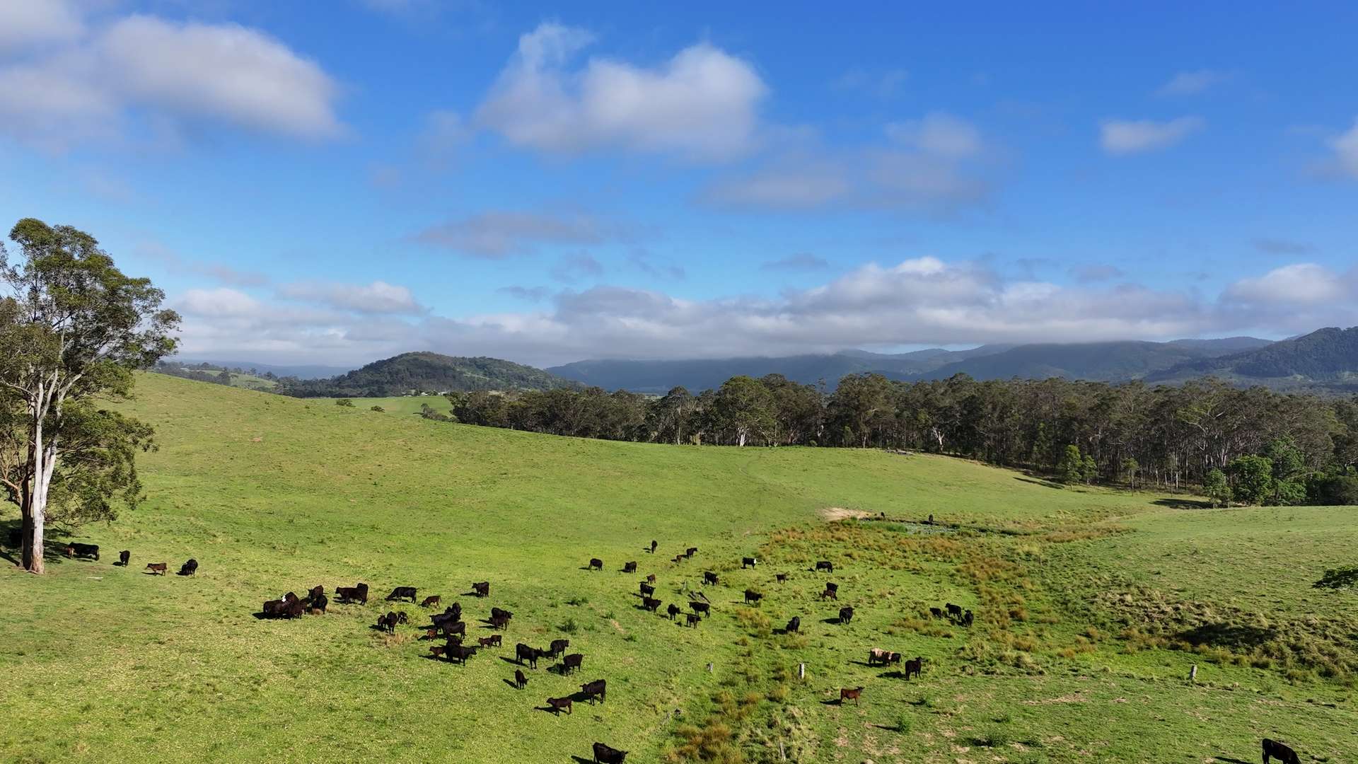 5887 Oxley Highway, Ellenborough For Sale by Farmbuy.com - image 10