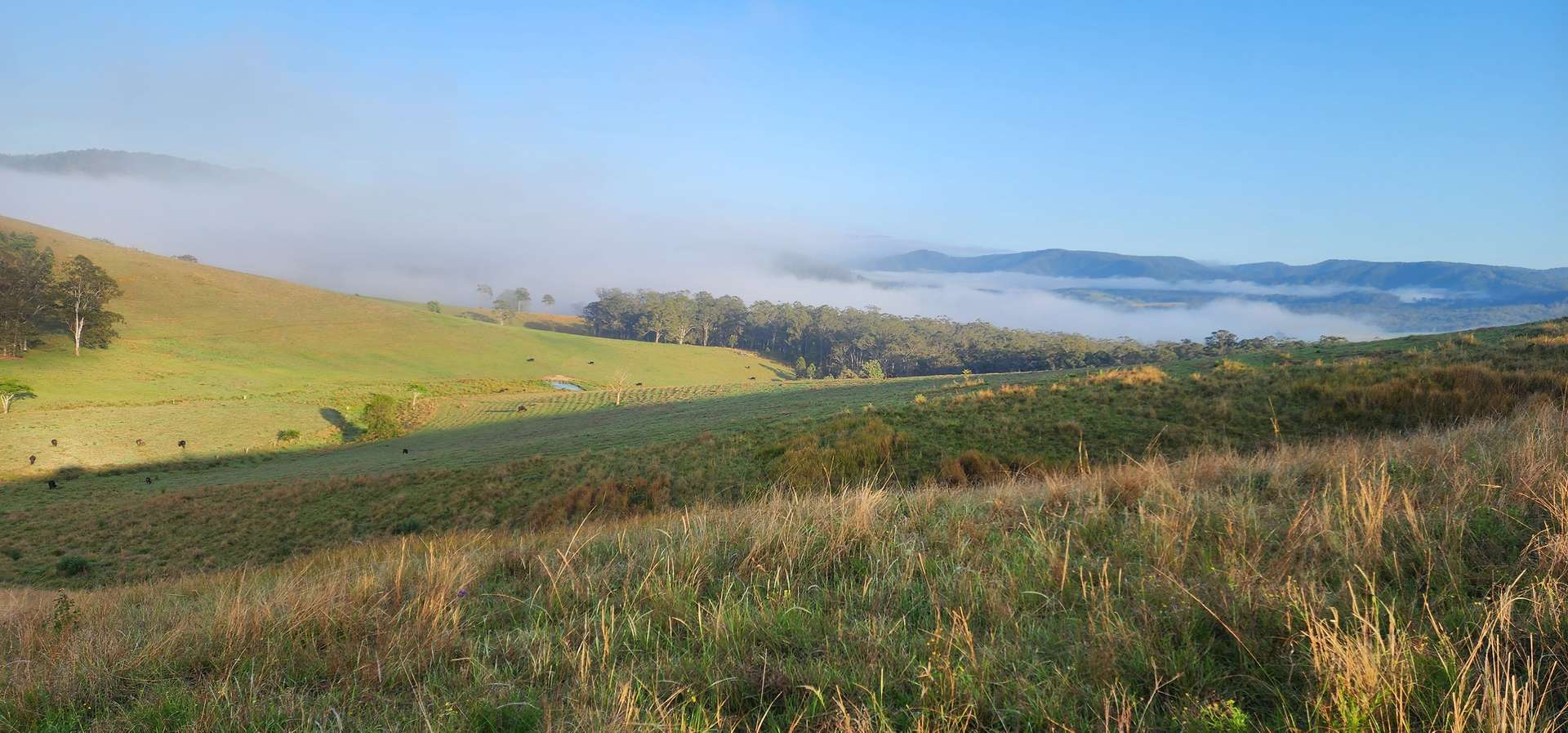 5887 Oxley Highway, Ellenborough For Sale by Farmbuy.com - image 16