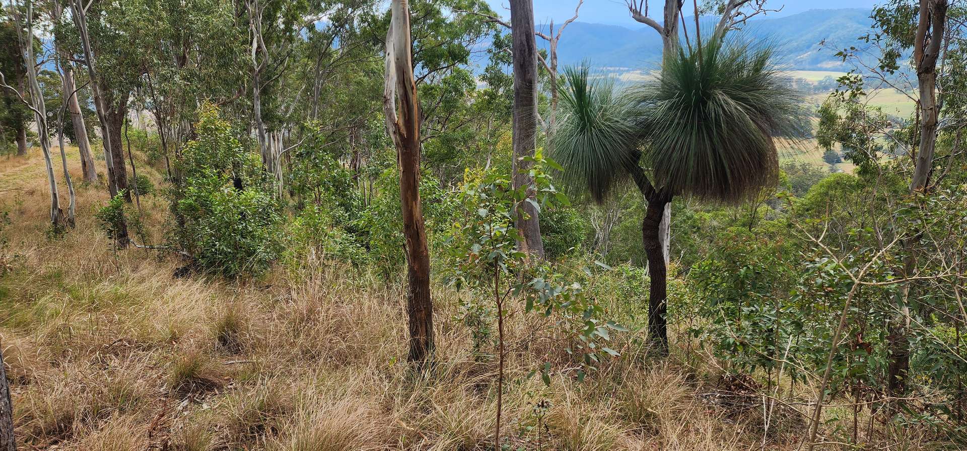 5887 Oxley Highway, Ellenborough For Sale by Farmbuy.com - image 23
