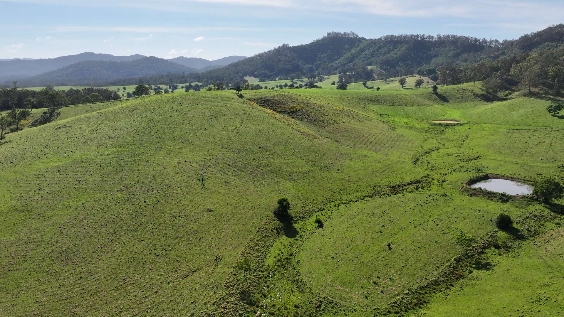 5887 Oxley Highway, Ellenborough For Sale by Farmbuy.com - image 7