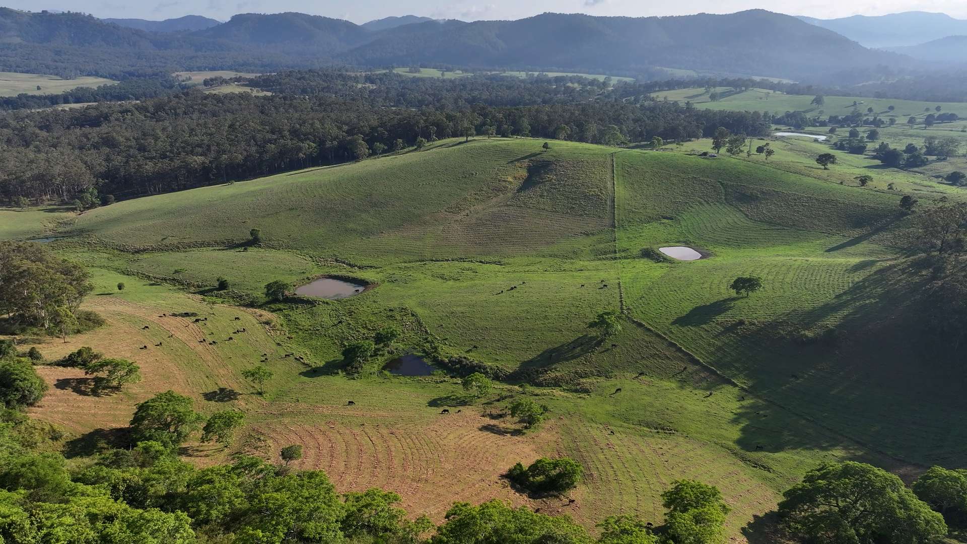 5887 Oxley Highway, Ellenborough For Sale by Farmbuy.com - image 4