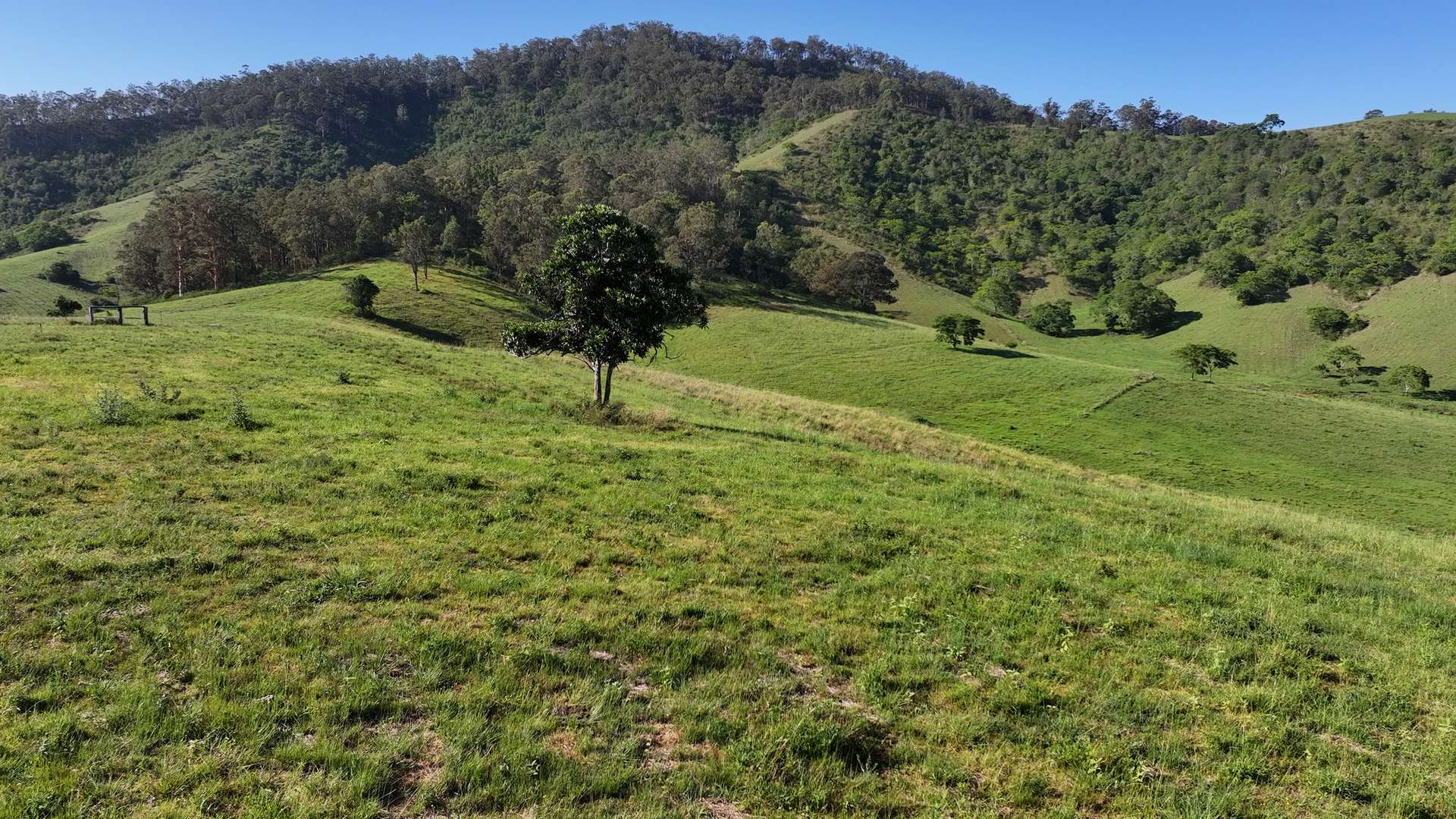 5887 Oxley Highway, Ellenborough For Sale by Farmbuy.com - image 22