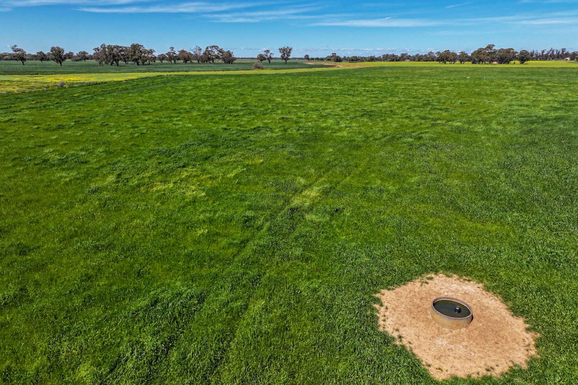 122 Cockbill Lane, Echuca For Sale by Farmbuy.com - image 24