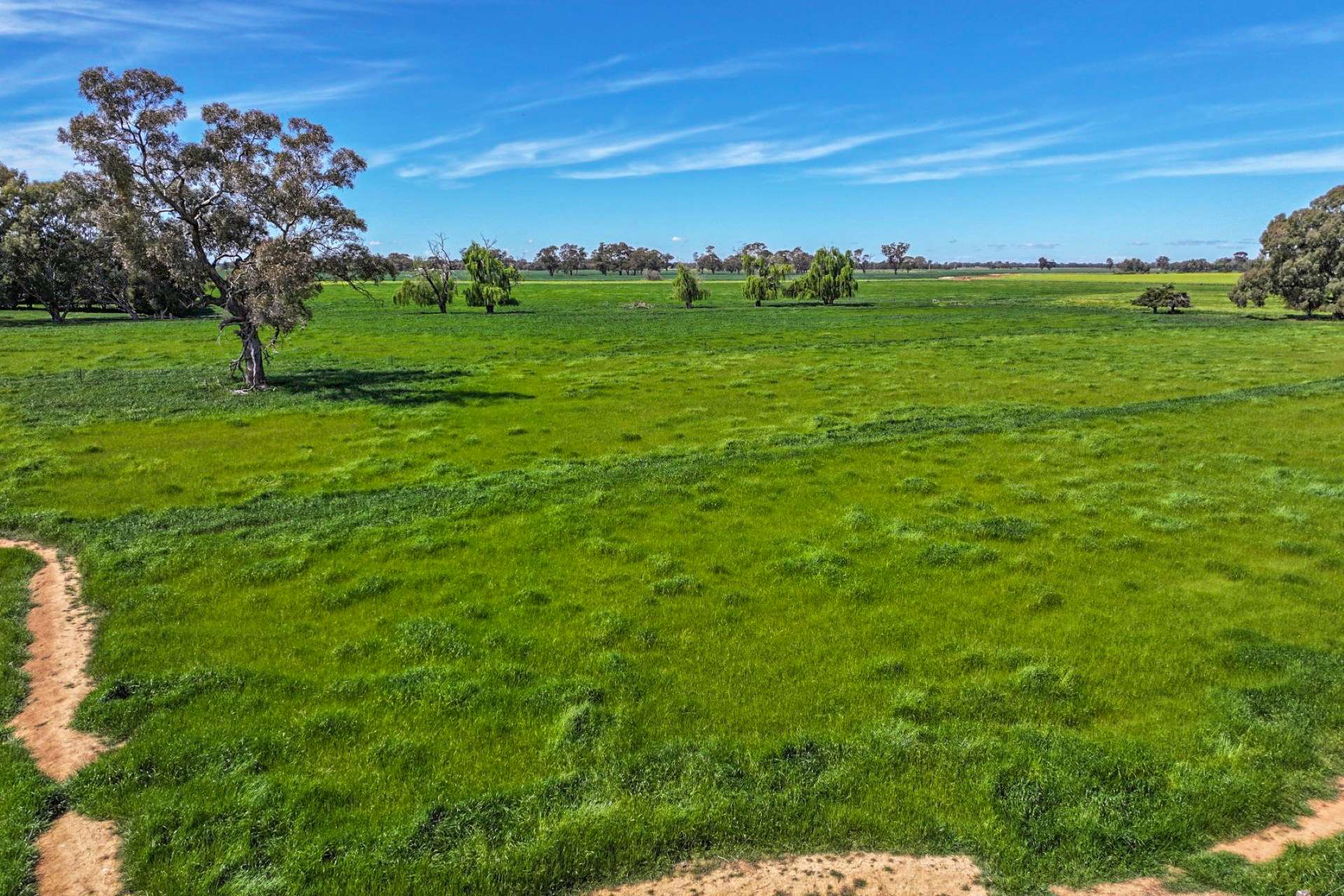 122 Cockbill Lane, Echuca For Sale by Farmbuy.com - image 26