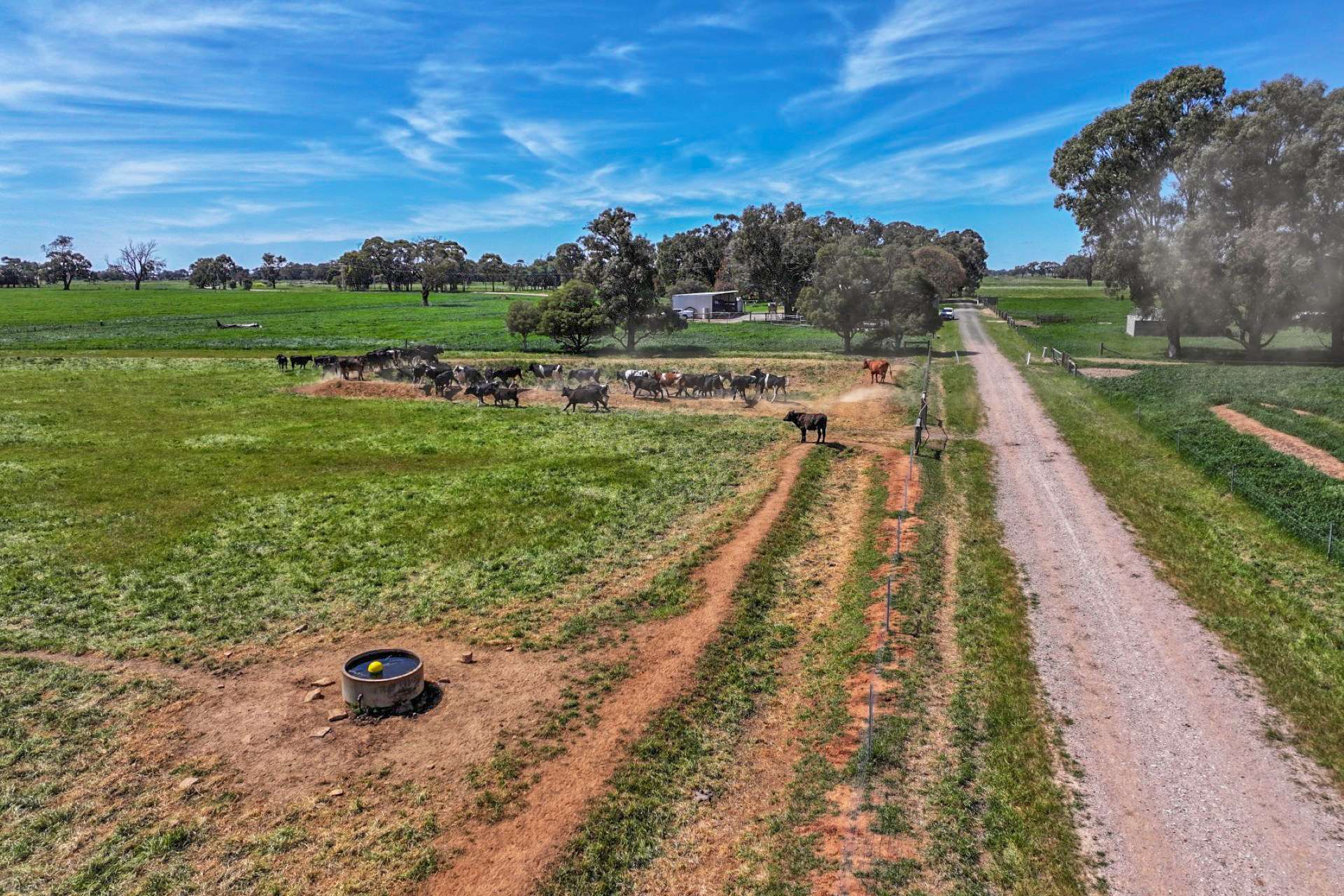 122 Cockbill Lane, Echuca For Sale by Farmbuy.com - image 27
