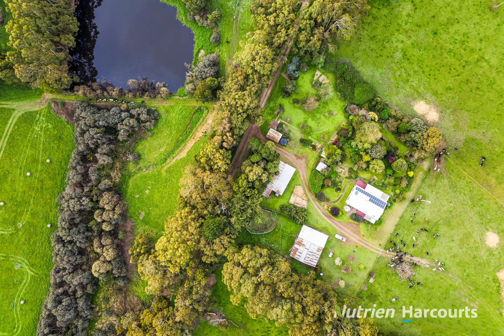 Lot 2, 21 Taylors Road, Brucknell For Sale by Farmbuy.com - image 6