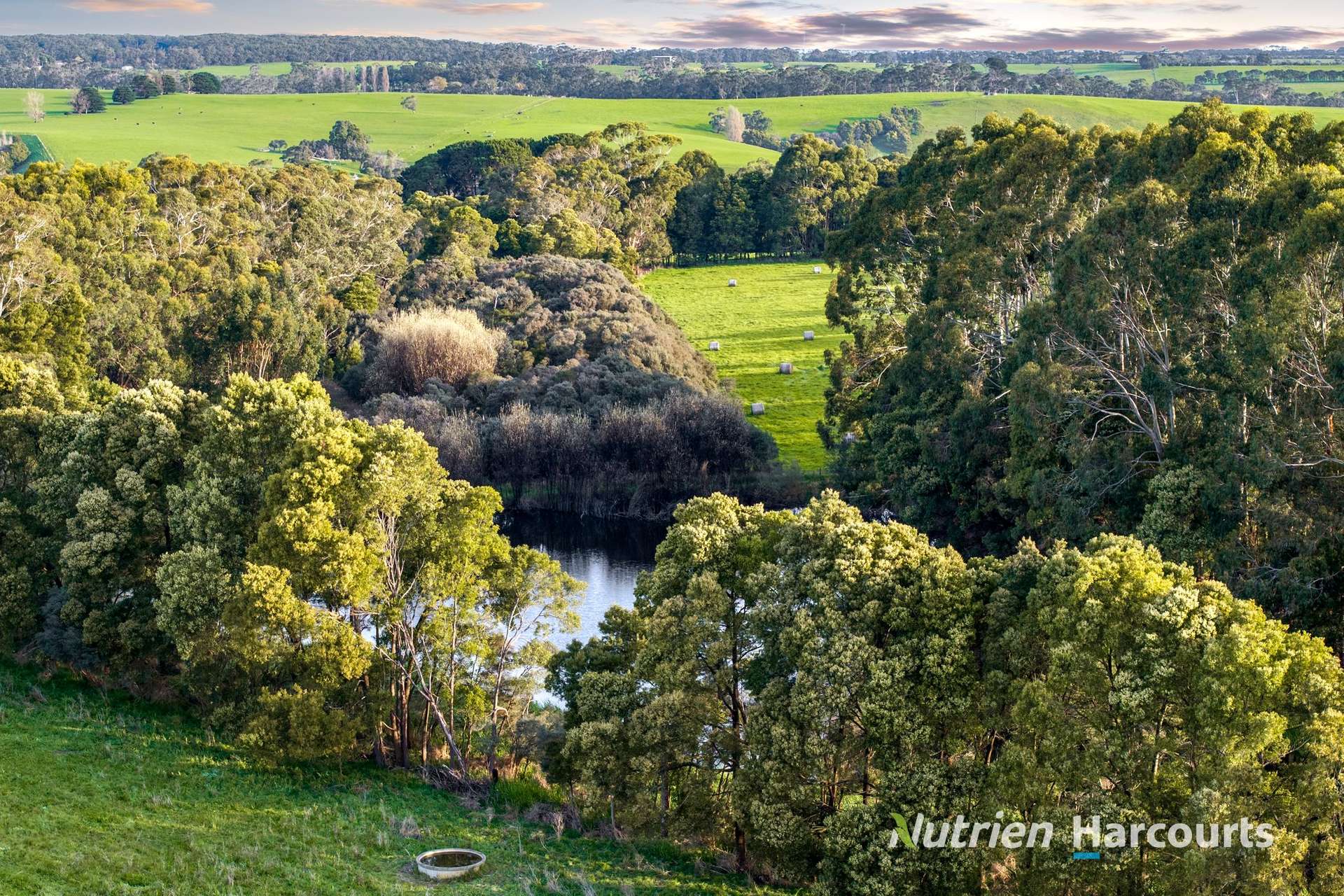 Lot 2, 21 Taylors Road, Brucknell For Sale by Farmbuy.com - image 5