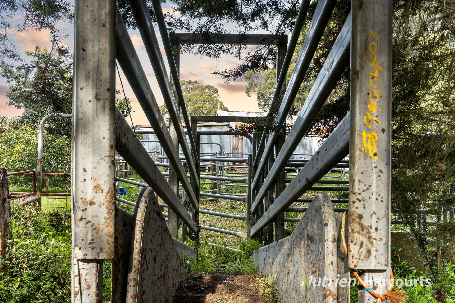Lot 2, 21 Taylors Road, Brucknell For Sale by Farmbuy.com - image 8