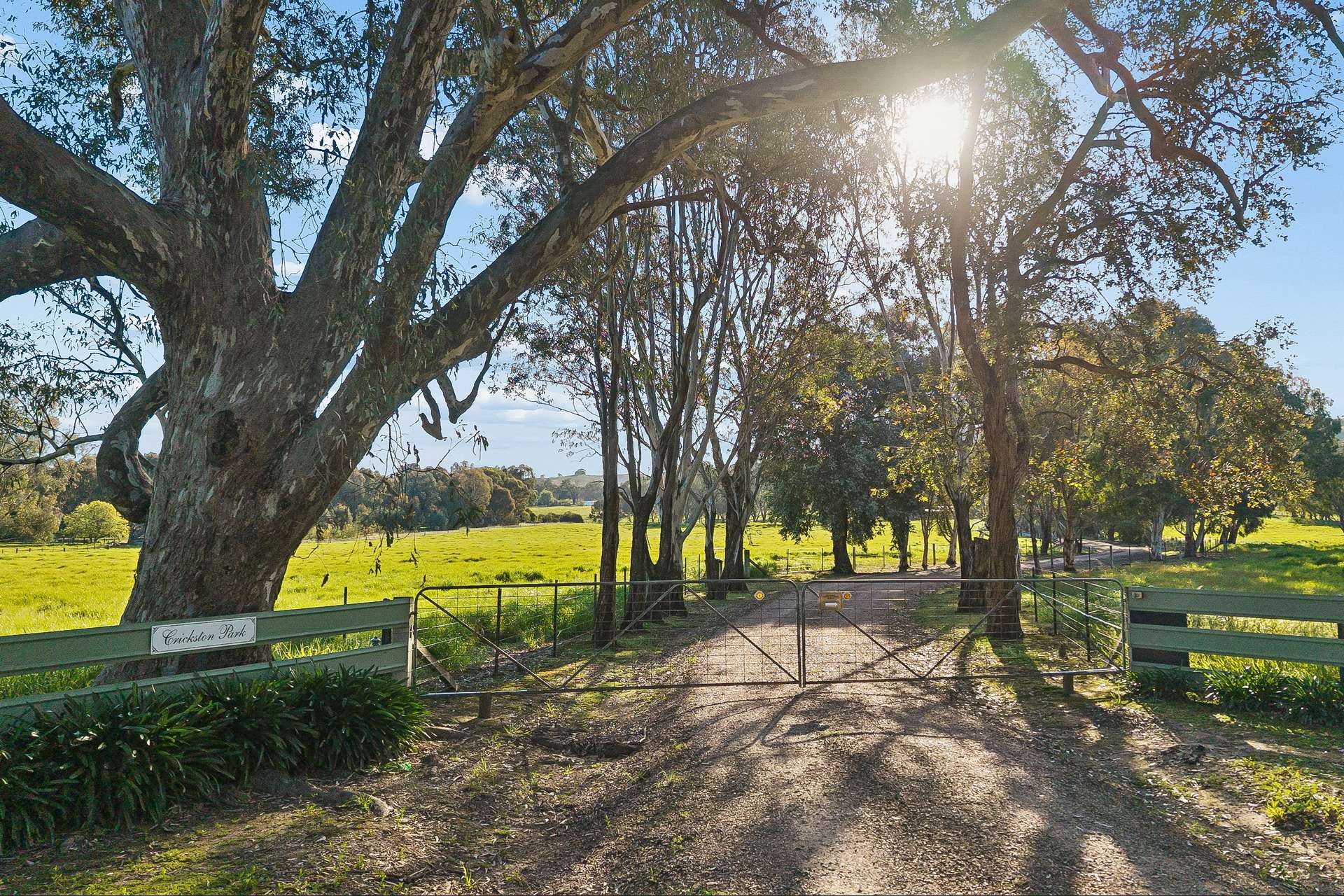 712 Glenrowan - Moyhu Road, Greta West For Sale by Farmbuy.com - image 4