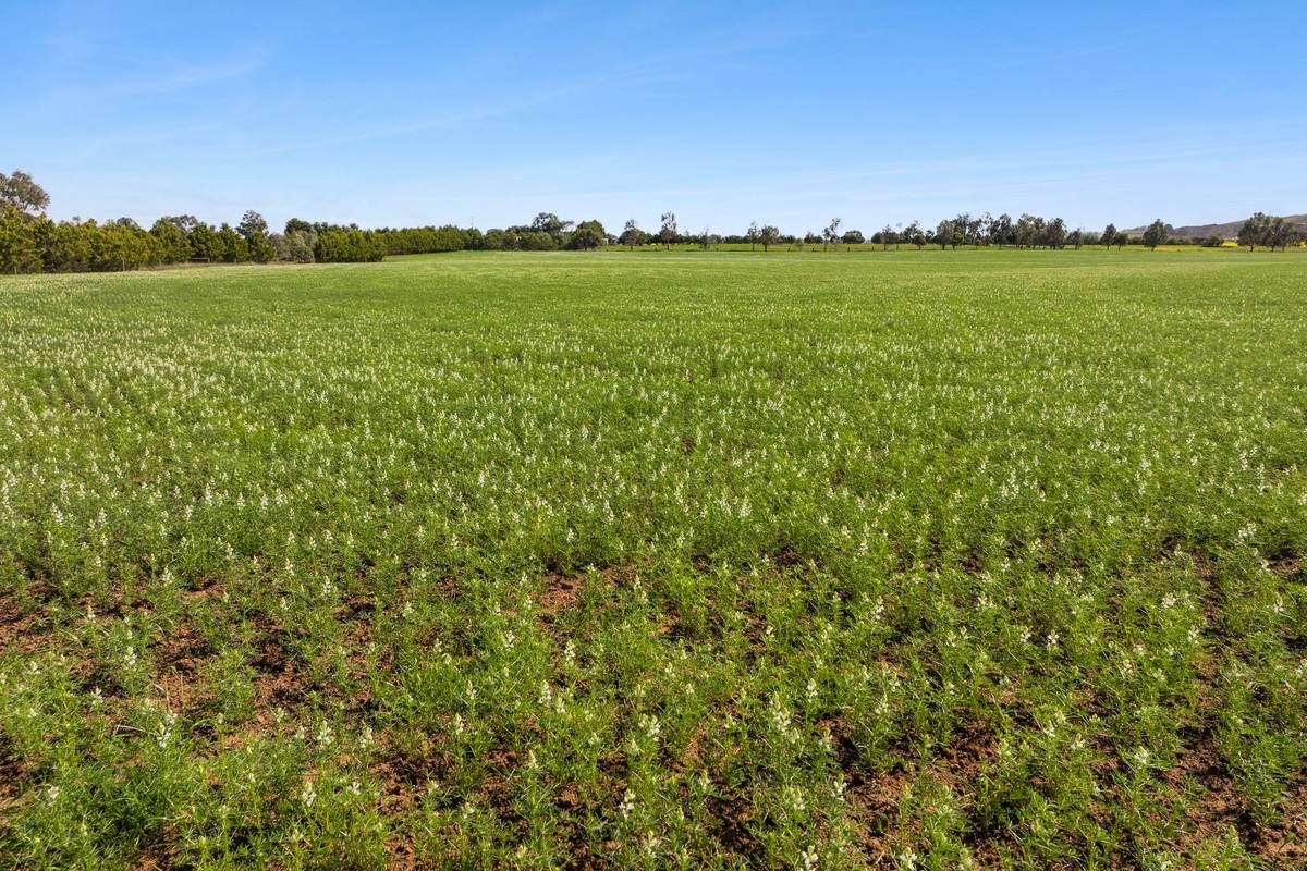 265 Old Boundary Road, Anakie For Sale by Farmbuy.com - image 26