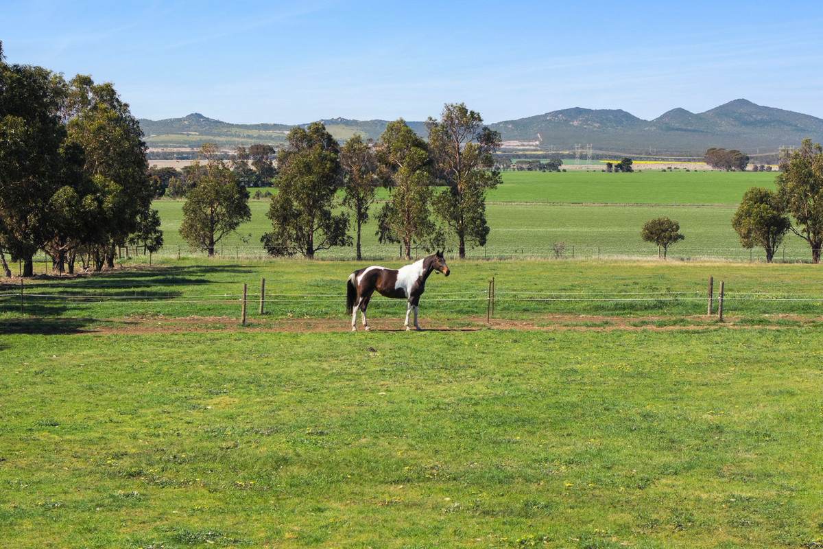 265 Old Boundary Road, Anakie For Sale by Farmbuy.com - image 3