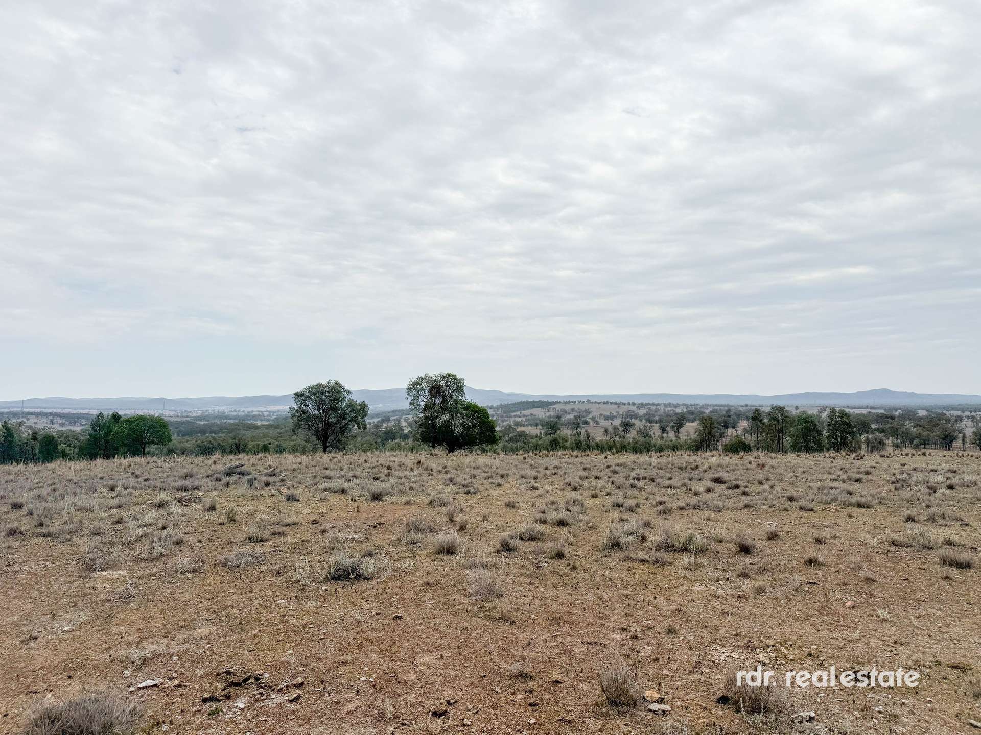 3181 Bonshaw Road, Bonshaw For Sale by Farmbuy.com - image 21